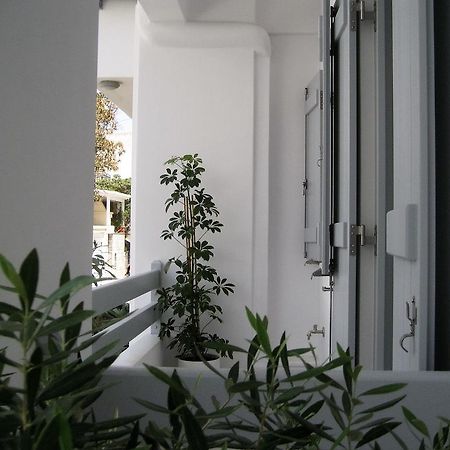Aelia Apartments Naxos City Exteriör bild
