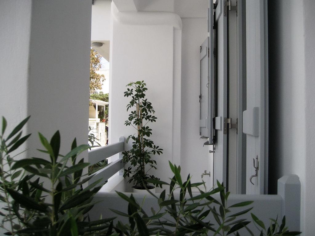 Aelia Apartments Naxos City Exteriör bild